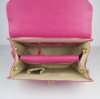 trendy girl handbag 2011