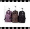 trolley case  /  luggage case