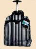 trolley luggage case