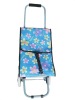 trolley shopping bag