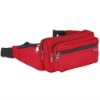 waist travel bag