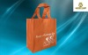 wenzhou non woven food bag