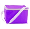 wine bag for picnic