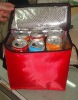 wine bottle cooler bag