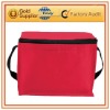 women cooler bag